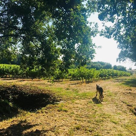 Villa Provencale Familiale Avec Piscine Grimaud Zewnętrze zdjęcie