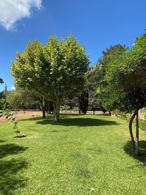 Villa Provencale Familiale Avec Piscine Grimaud Zewnętrze zdjęcie